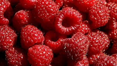 raspberries_Photo